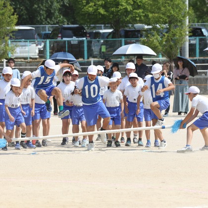 HARAデザインが撮影したウェディングや家族、ビジネスの写真