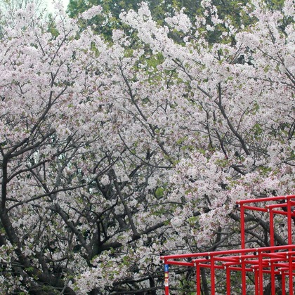 Taka Photoが撮影したウェディングや家族、ビジネスの写真