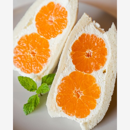 和田海人が撮影した「:albumName」の写真