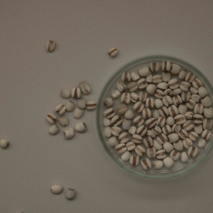 アオスタジオが撮影した「:albumName」の写真