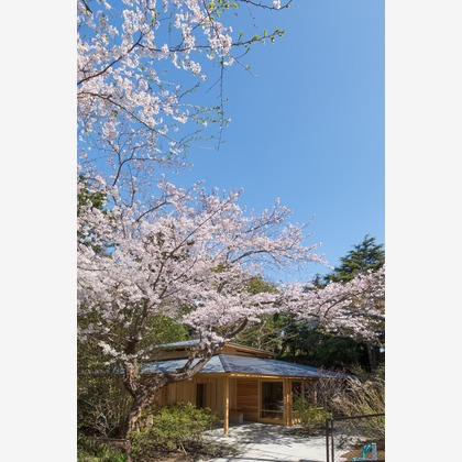 栗原誠が撮影した店舗/オフィス/サロン撮影の写真