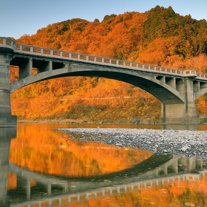 溝口崇が撮影した「:albumName」の写真