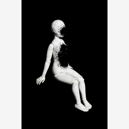 株式会社　レッドポイントが撮影した「:albumName」の写真