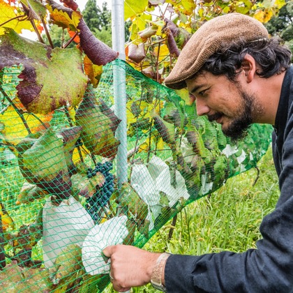 リトルダイナソーが撮影した人物撮影の写真