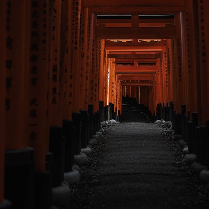 三谷 朋也が撮影した「:albumName」の写真