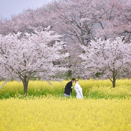 Photo of :albumName taken by Kiki photo works