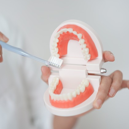 合同会社Joy Stormが撮影した「:albumName」の写真