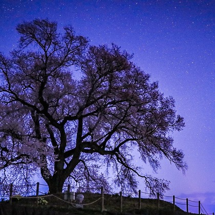内藤駿介が撮影したその他/商品/物撮りの写真