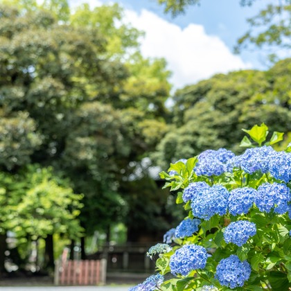 長竹　進吾が撮影した「:albumName」の写真