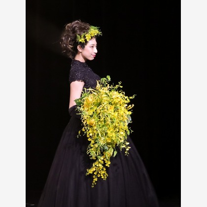 世登理恵が撮影したイベント/スナップ撮影の写真