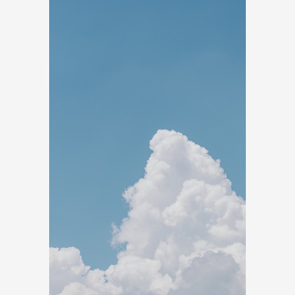 大坪幹武が撮影したウェディングや家族、ビジネスの写真