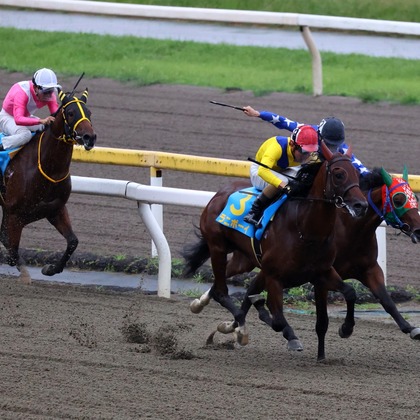 ms photoが撮影したイベント/スナップ撮影の写真