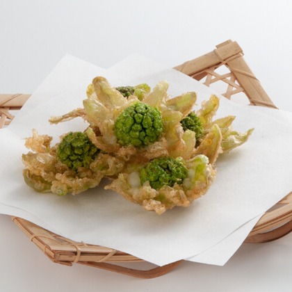 有限会社　澤田スタジオが撮影した「:albumName」の写真