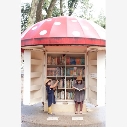 白井由香里写真事務所が撮影した「:albumName」の写真