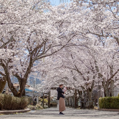 ゾクが撮影した家族写真の出張撮影の写真