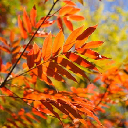 photographerTAKASUが撮影したその他の写真