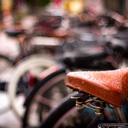 スタジオファンタスが撮影した「:albumName」の写真