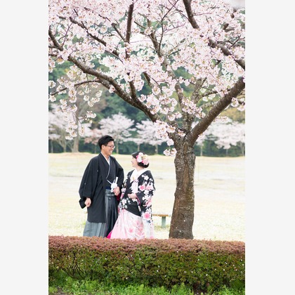 PIC WEDDING PHOTO（岩本 竜弥）が撮影した「:albumName」の写真