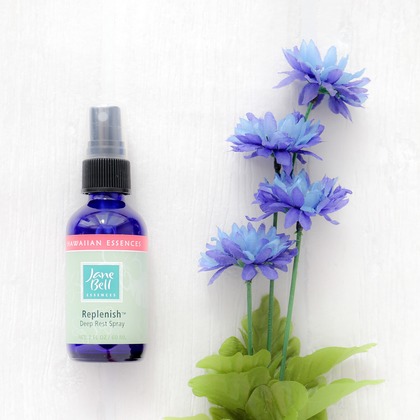 なかがわさとみが撮影した「:albumName」の写真