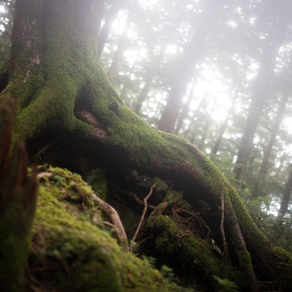 舘　典志が撮影したその他/イベント/スナップ撮影の写真