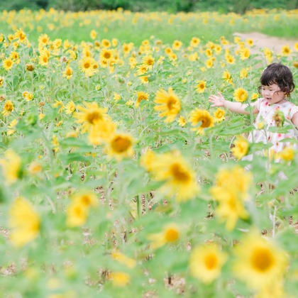 Koji Nishida Photographyが撮影した「:albumName」の写真