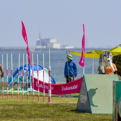 スタジオファンタスが撮影した「:albumName」の写真