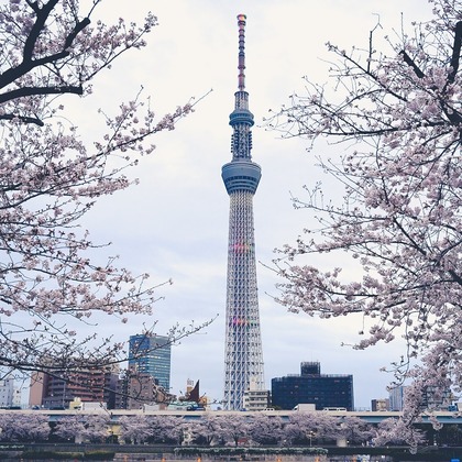 いんかが撮影したその他の写真