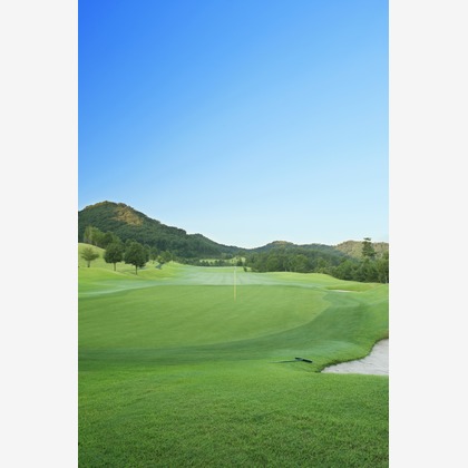 エイティーイメージズが撮影したその他の写真