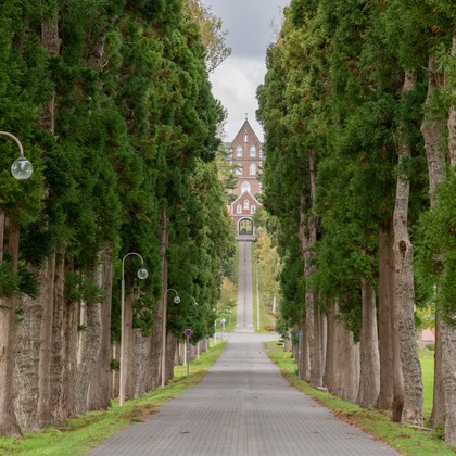 ウィリアムズ　侑依が撮影した不動産/竣工の写真