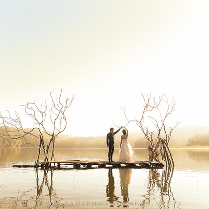 Padi Photograpahyが撮影したウェディングや家族、ビジネスの写真