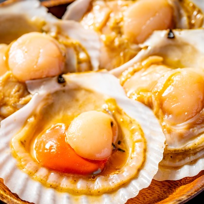 野口　恭平が撮影した料理撮影の写真