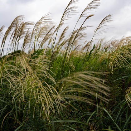 細田　恭平が撮影したその他の写真