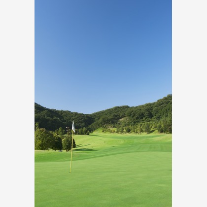 エイティーイメージズが撮影したその他の写真