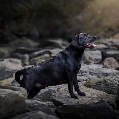 梅田　紫邑が撮影したその他の写真