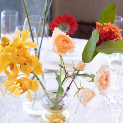 杉安写真事務所が撮影した「:albumName」の写真