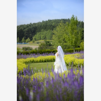 Photo of  taken by C.RELATIONS