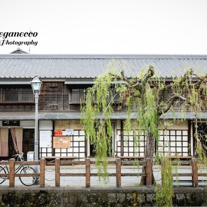 meganecco Photographyが撮影した「:albumName」の写真