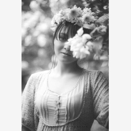 Top Gunが撮影した「:albumName」の写真