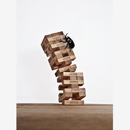 高橋　良が撮影した「:albumName」の写真