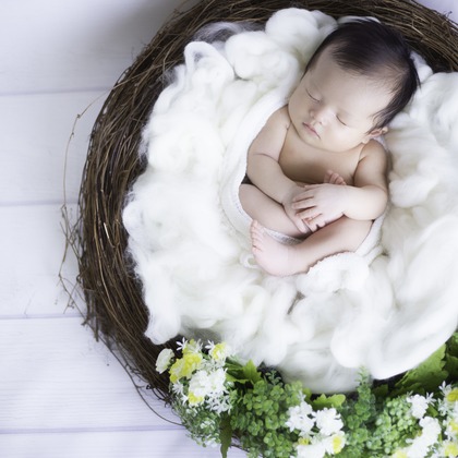 Smile works／益田ともかが撮影した「:albumName」の写真