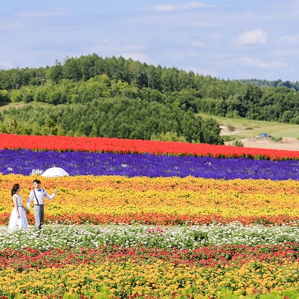 Location Photo Shoot Photos taken by APK