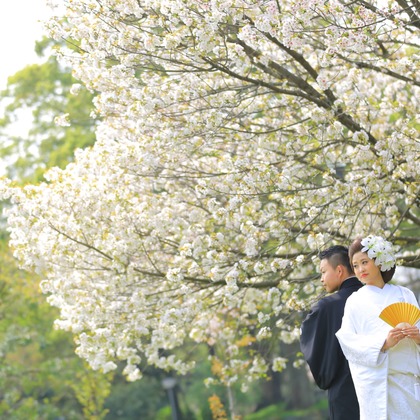 Photo of :albumName taken by Studio 8