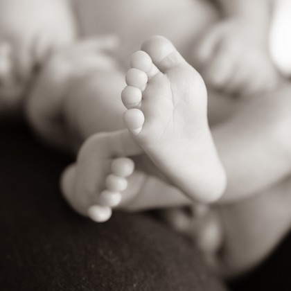 アラタンホヤガが撮影した「:albumName」の写真