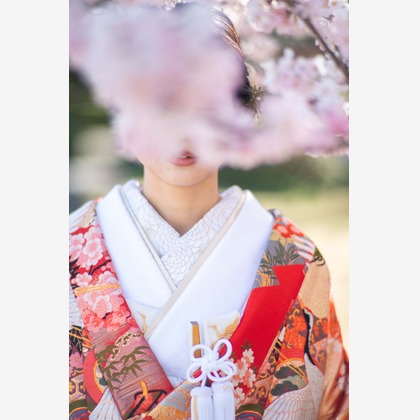 Photo of :albumName taken by THE CLIPS