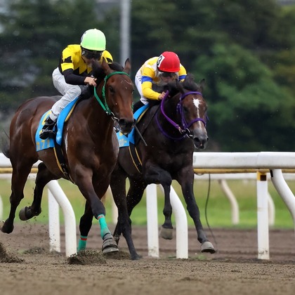 ms photoが撮影したイベント/スナップ撮影の写真