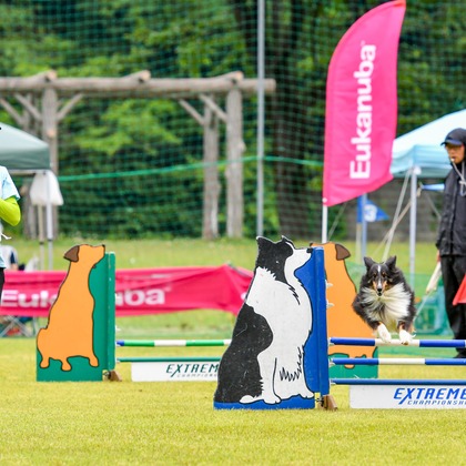 スタジオファンタスが撮影した「:albumName」の写真