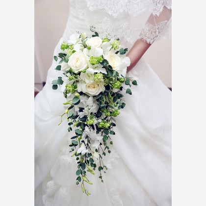 スタジオ エムが撮影したウェディングや家族、ビジネスの写真