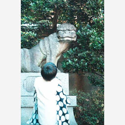 kudophotoが撮影した「:albumName」の写真