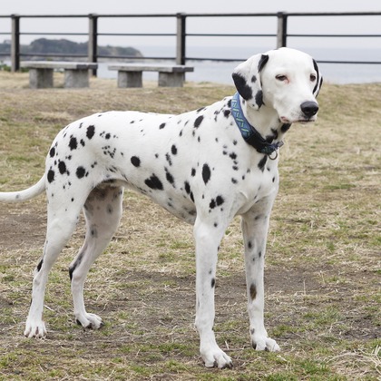 森安　照が撮影した「:albumName」の写真