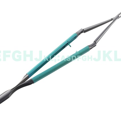 西原毅が撮影した「:albumName」の写真